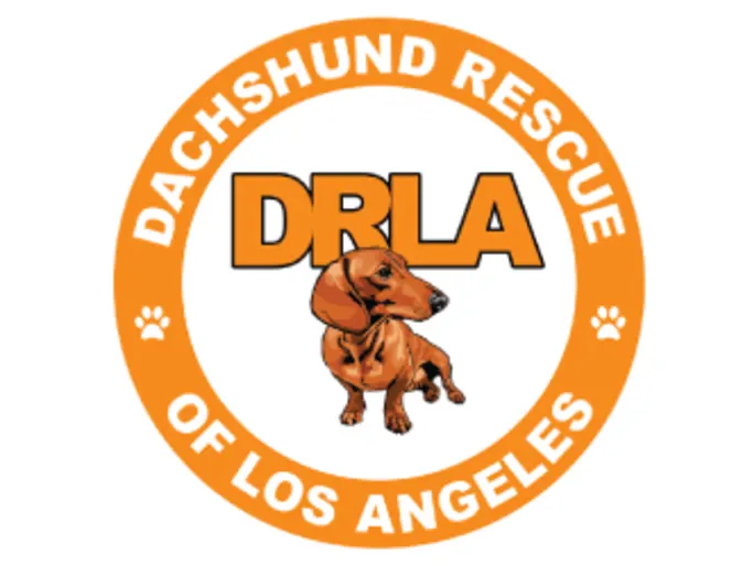 Dachshund Rescue Of LA